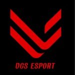 VCS Esports