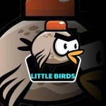 Little Birds