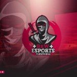 BRAVE WARIOR ESPORT