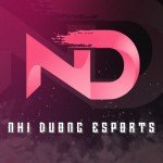 NHI DƯƠNG ESPORTS