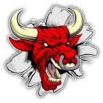 Warriors