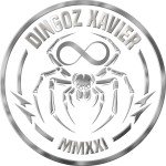 D'Xavier Infinity