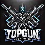 Top Gun Esports