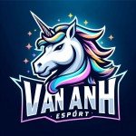 Vân Anh Esport