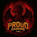 PROUD GAMING ESPORT