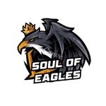 Soul Of Eagles