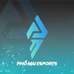 PM Esports