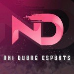 NHI DƯƠNG ESPORTS