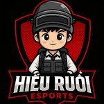 HIẾU RUỒI ESPORTS