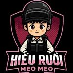 Hiếu Ruồi Meo Meo