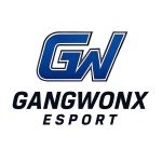 GangwonX Esport