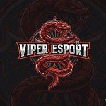 VIPER ESPORT