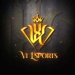 Vi ESPORTS